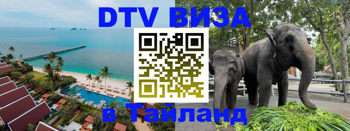 Цены на DTV визу в Таиланд — пакеты услуг, достаточно даже паспорта - Великий Новгород  05.10.2025 